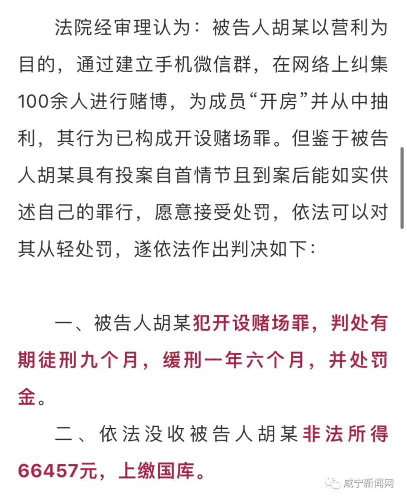 内部资料一肖一码,内部资料一肖一码，揭开神秘面纱下的违法犯罪问题