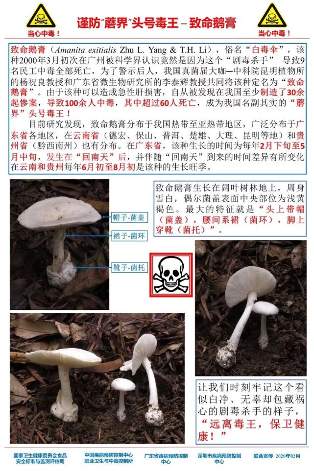 新澳门彩4949最新开奖记录今天,警惕新澳门彩4949的陷阱——远离非法赌博，守护个人安全