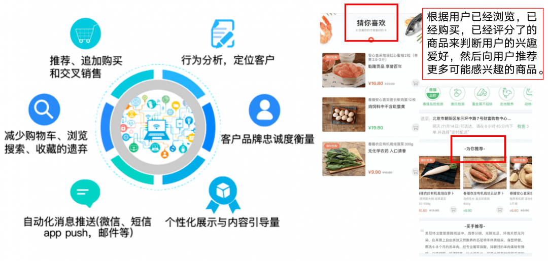 精准一码免费公开澳门,精准一码与免费公开澳门的真相——揭示背后的风险与犯罪问题