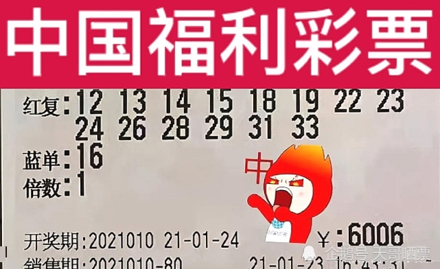 2025年1月 第1066页