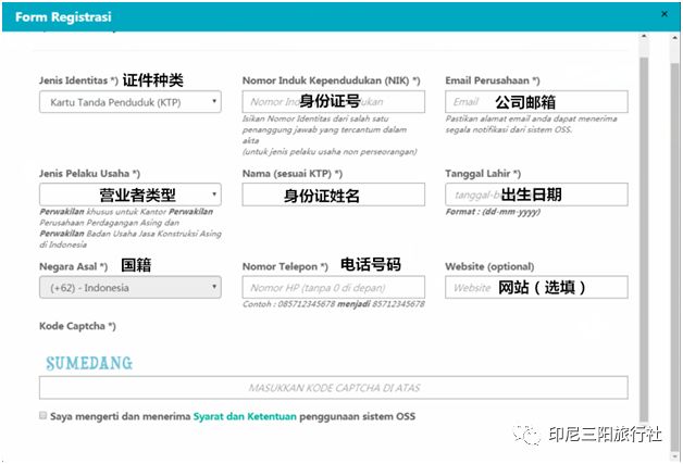 人潮涌动 第3页